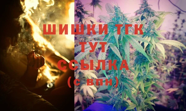 спиды Магас