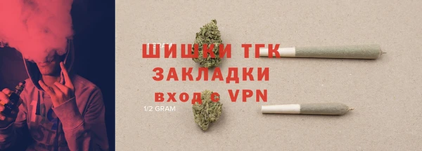 мдпв Майский