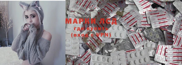 спиды Магас