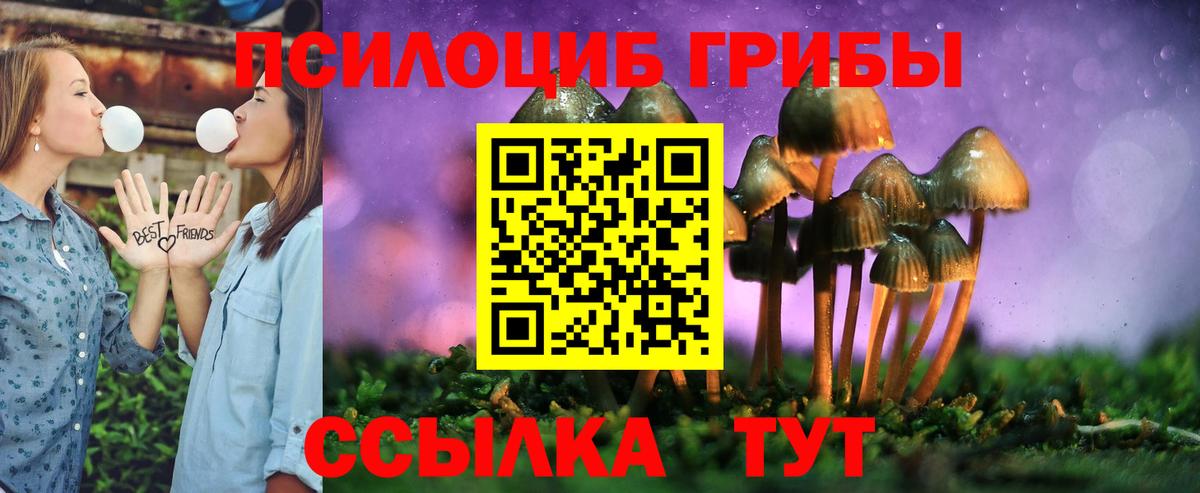 Галлюциногенные грибы мухоморы  Галлюциногенные грибы Psilocybe  Вход с VPN  Батайск 