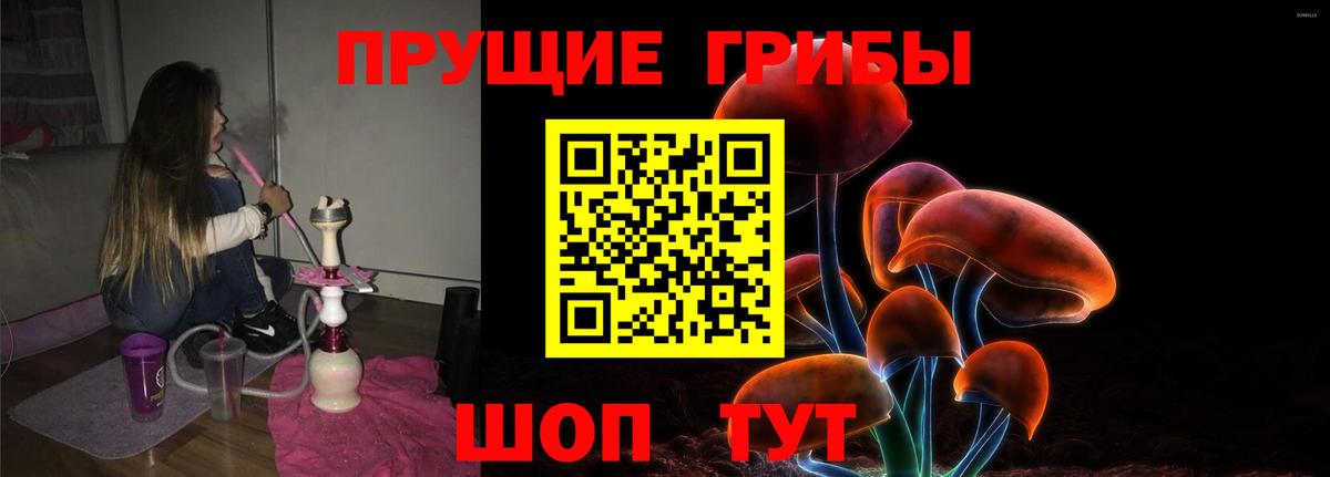 Псилоцибиновые грибы прущие грибы  купить закладку  Батайск 